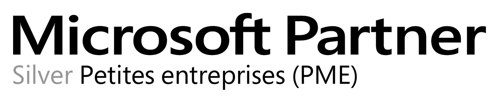 Microsoft Spécialiste Silver PME